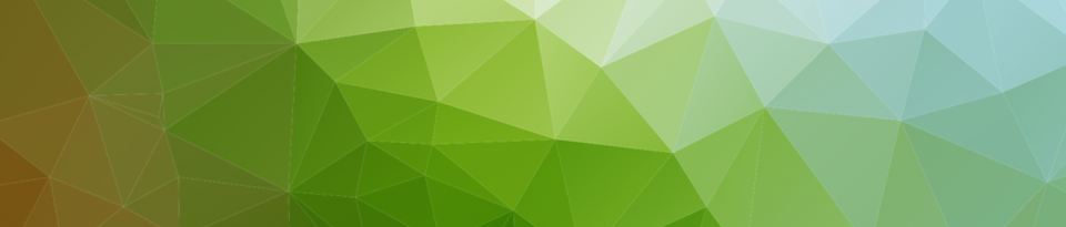 rsc-responsabilidad social corporativa