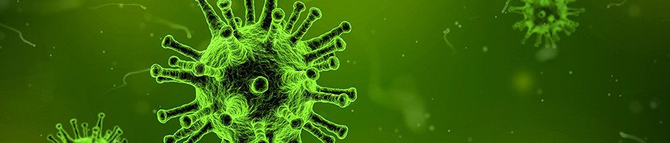 coronavirus