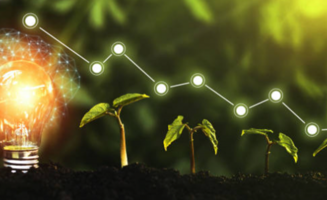 sustainable growtg