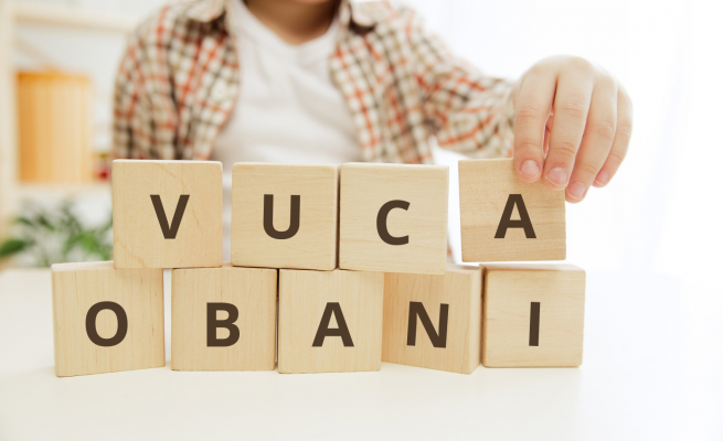 entorno vuca o bani
