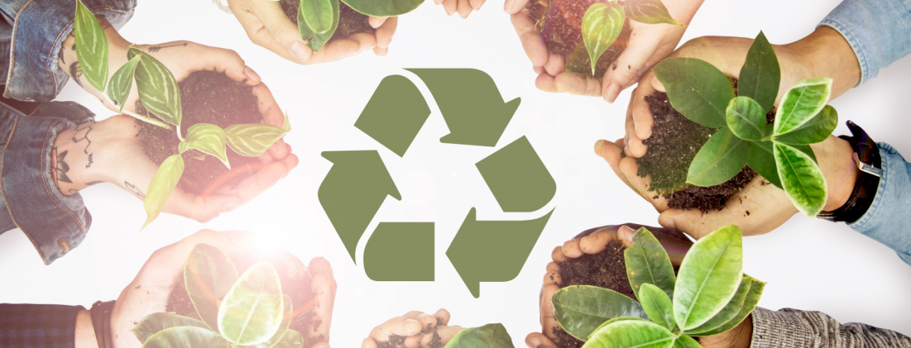 manos con plantas y símbolo del reciclaje