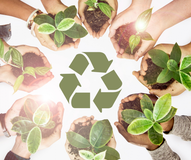manos con plantas y símbolo del reciclaje