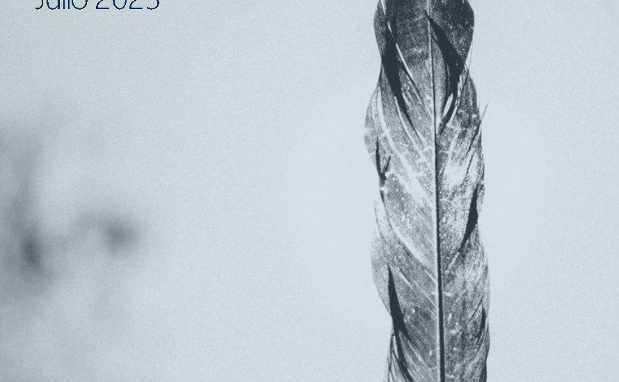 portada 12 sugerencias julio